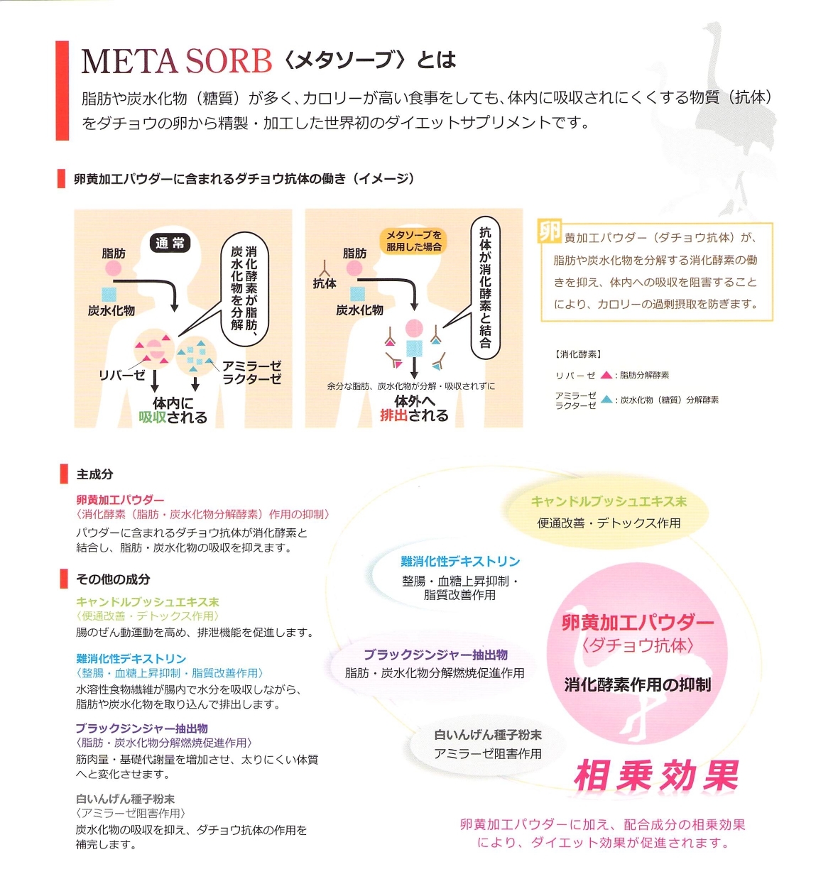 お知らせ】【メタソーブ:ダチョウ抗体ダイエットサプリメント】お