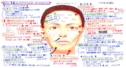 SYC美療セットトータルナビゲート