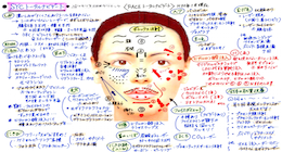 SYCトータルフェイシャル